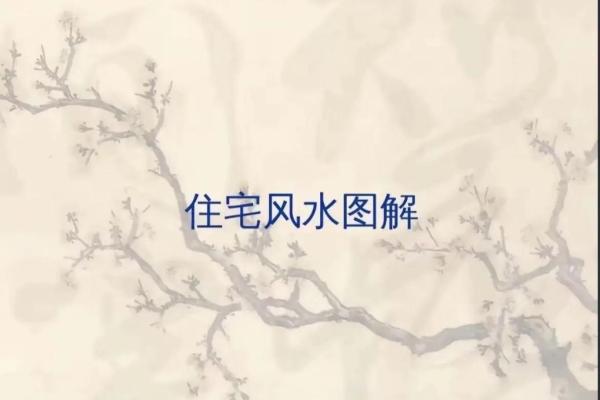 左宽右窄的一层房子风水