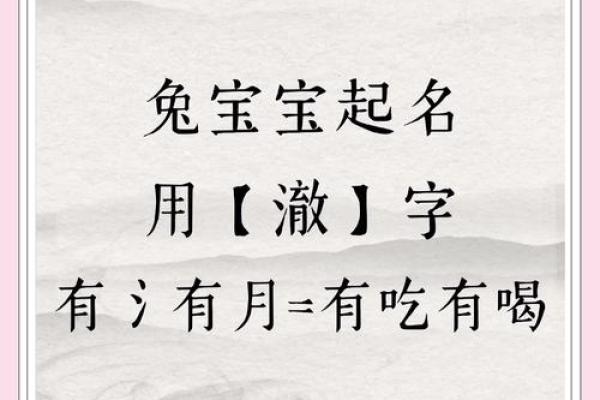 600个适宜2011年兔宝宝的吉祥好名字-姓名学-姓名分析姓名