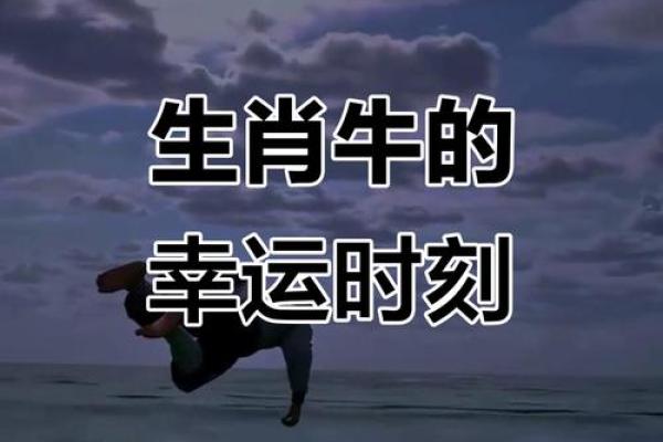 紫薇星降临