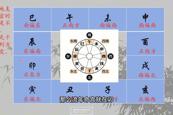 看紫薇斗数顺序