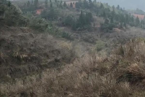 地的风水_天盖地地盖天是什么意思