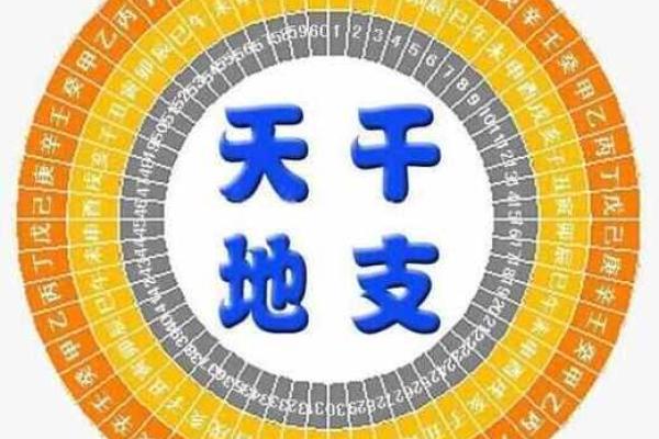 世界上有没有算命大学