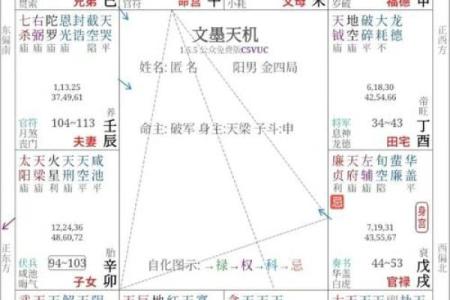 紫薇斗数养母养大