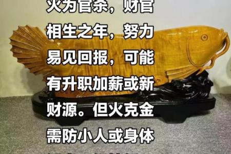 风水开运 木命男人如何旺财