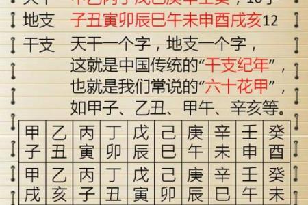 生辰八字计算器,输入出生日期查八字