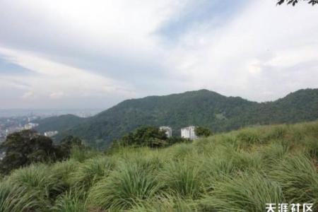 风水角度男人四十不惑是什么意思