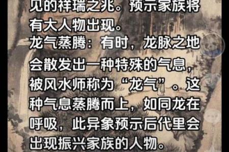 风水宝地下葬异象