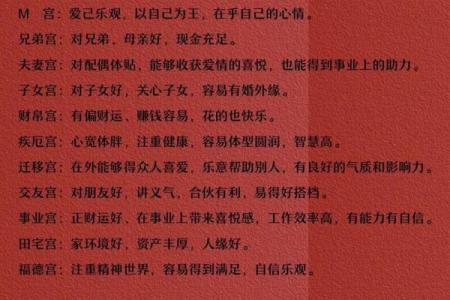 紫薇斗数安非主星