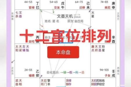 紫微斗数案例18健康：大运迁移宫多忌，哪些宫位会冲命宫？