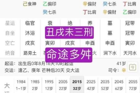 丁酉年八字