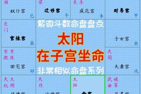 如何看紫薇星在什么宫