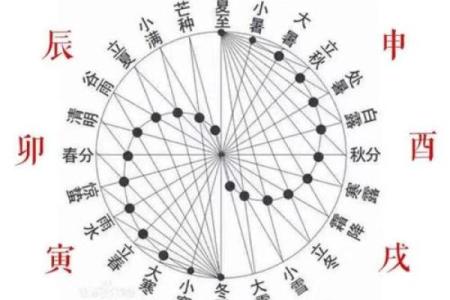 灵动紫薇斗数排盘