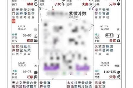 紫薇斗数父疾线看什么
