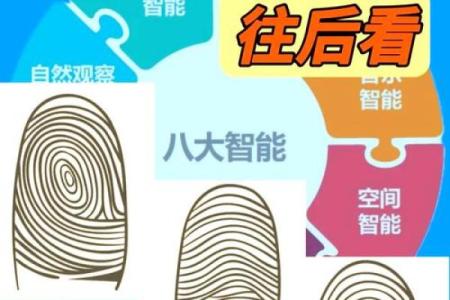 指纹算命图谱
