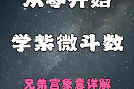 紫微斗数紫薇在兄弟宫怎么解读
