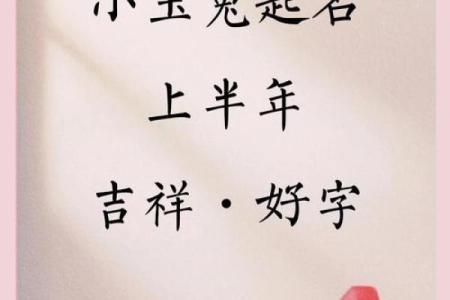 600个适宜2011年兔宝宝的吉祥好名字-姓名学-姓名分析姓名