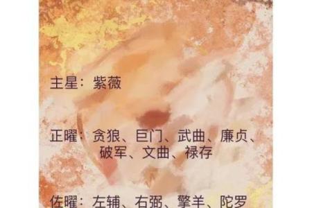 迁移宫紫薇星权天相星什么意思