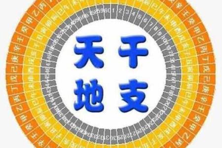 世界上有没有算命大学