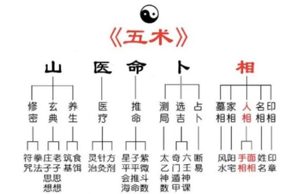 十个数字，揭示易经风水、命理八字等术数的本质奥秘！
