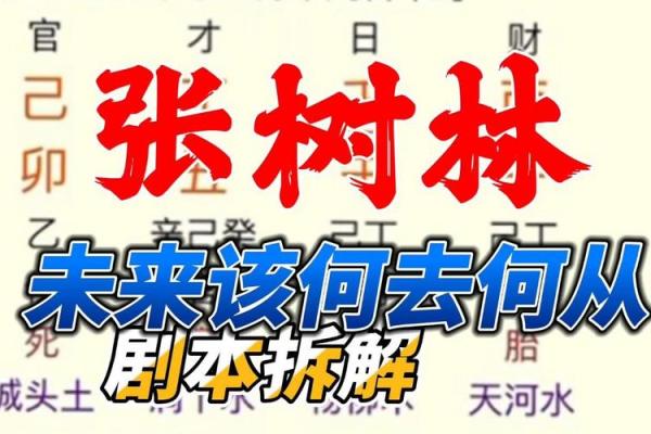 八字最硬