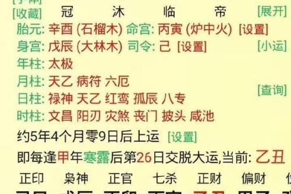 八字丁壬化