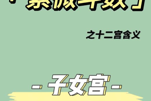 紫微斗数女生看什么宫位 紫微斗数看女命？