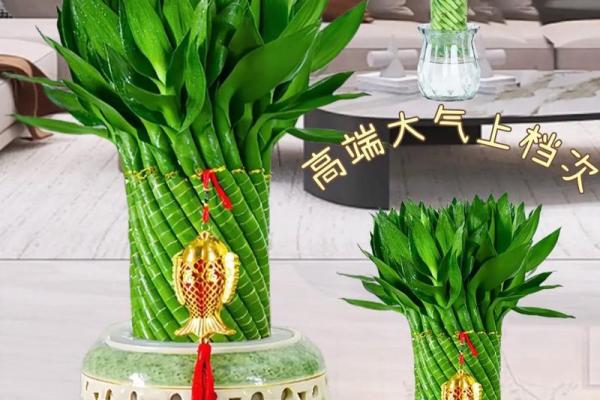 家庭风水家里种黄金竹好吗招财聚宝