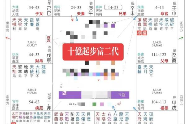 大数据紫薇斗数