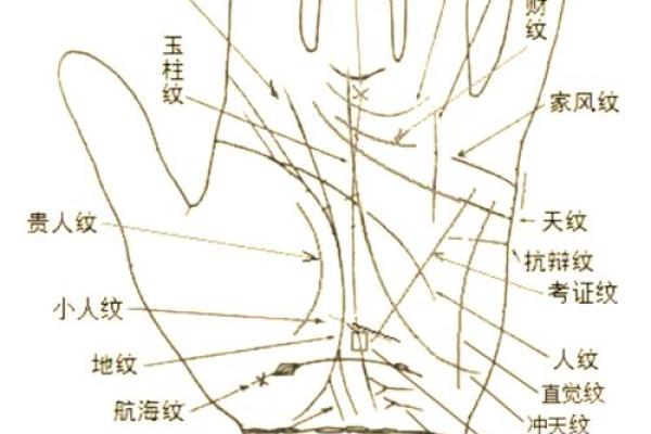 看手纹测命运图解 手相学图解算命大全
