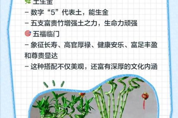 家中养富贵竹风水有讲究