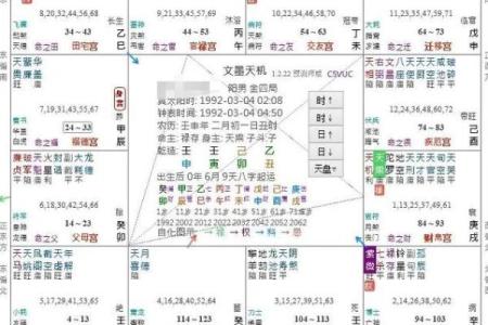 大数据紫薇斗数