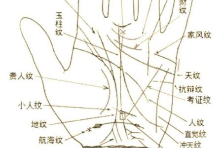 看手纹测命运图解 手相学图解算命大全