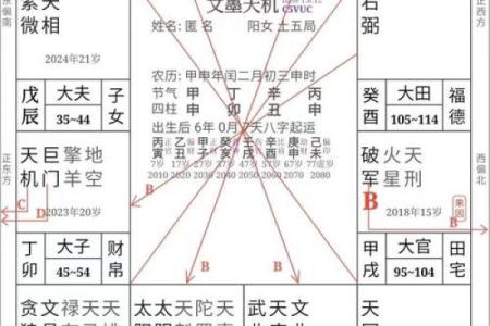 自紫薇斗数