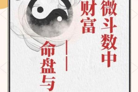 紫薇斗数看一个人能否掌权