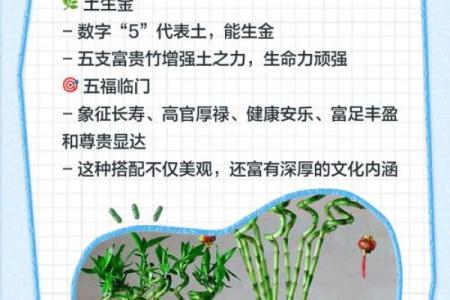 家中养富贵竹风水有讲究