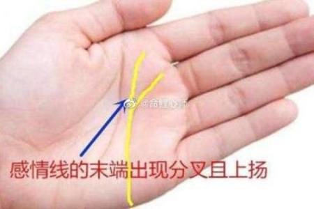 算命马义相  感情算命免费
